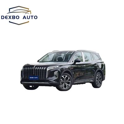 Novi Hongqi HS7